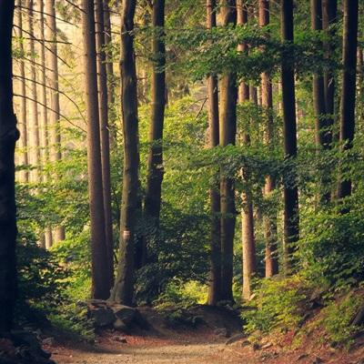 购彩中心welcome入口官方版手机app下载