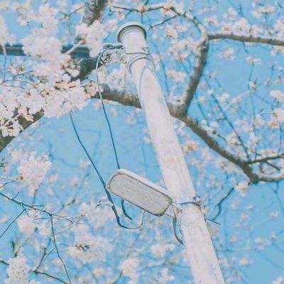 365体育官网入口