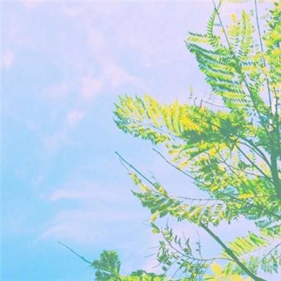 购彩中心welcome入口官方版手机app下载截图